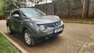 Nissan Juke 2011 Gray