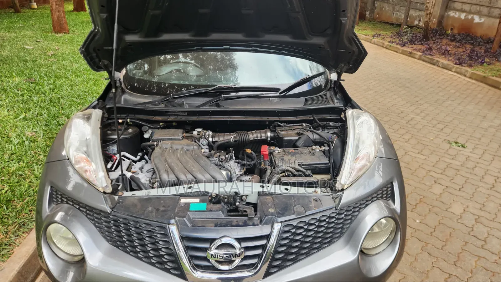 Nissan Juke 2011 Gray