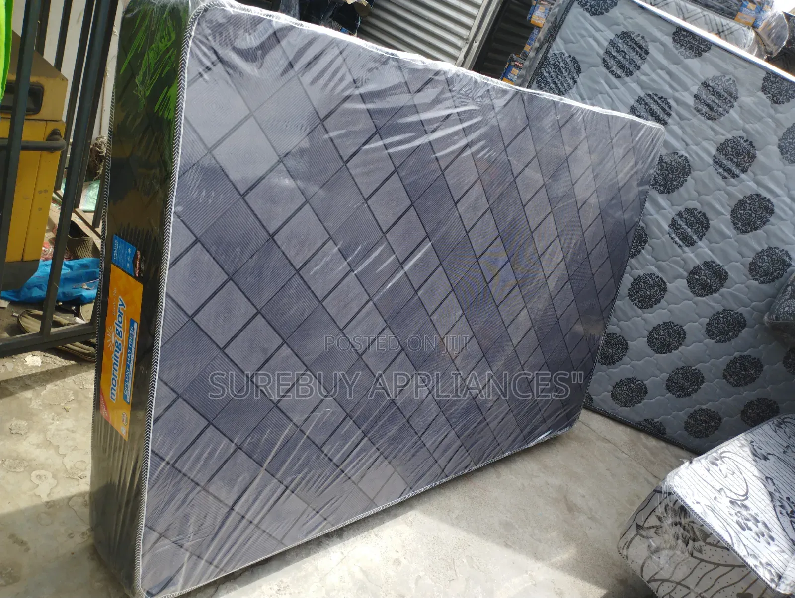 4x6x10 Inch Morning Glory Plain Mattress With Firm Support