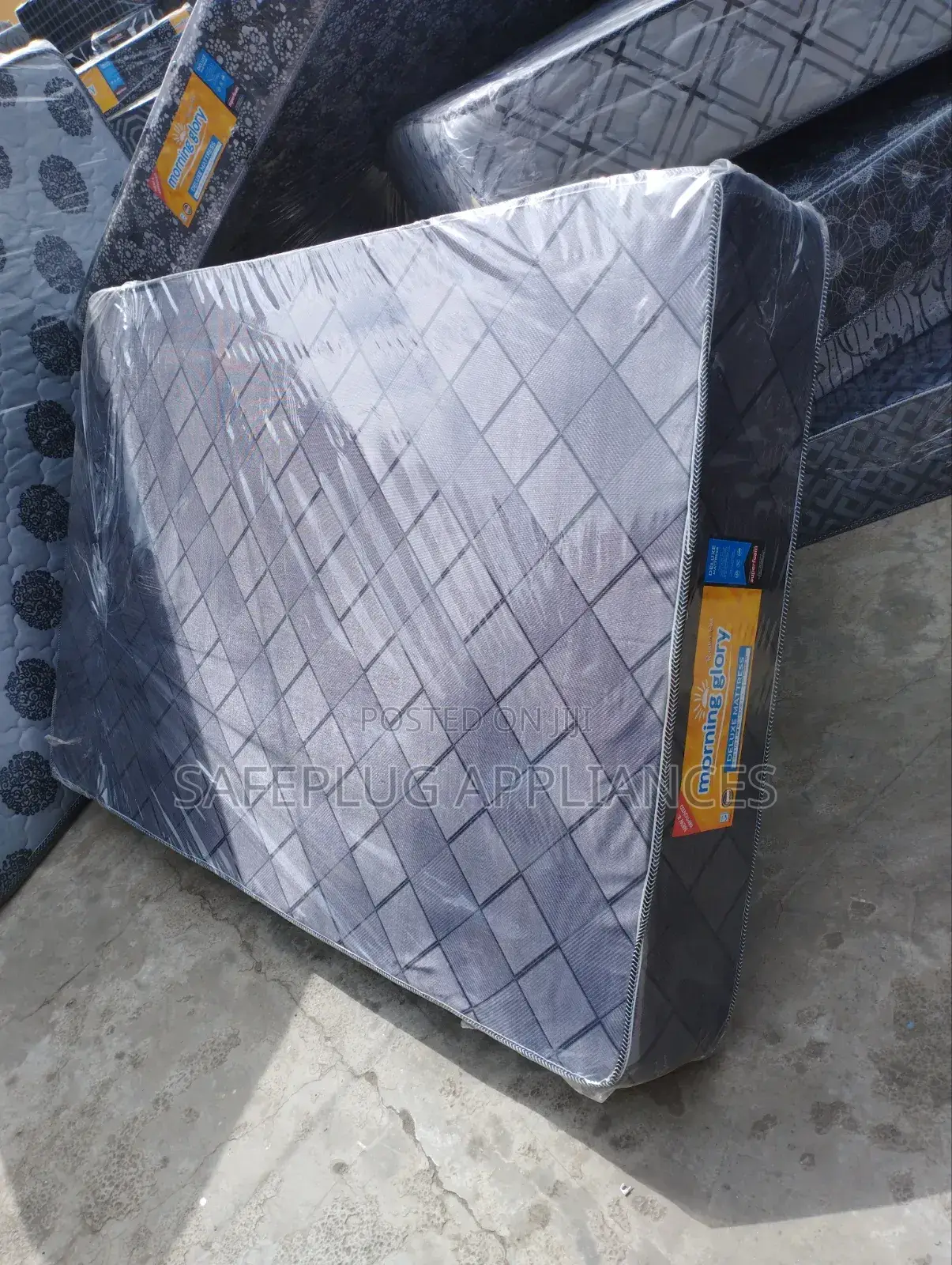 Morning Glory 4x6 10 Inch Plain Mattress for Home Guest Use