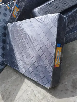 Morning Glory 4x6 10 Inch Plain Mattress for Home Guest Use