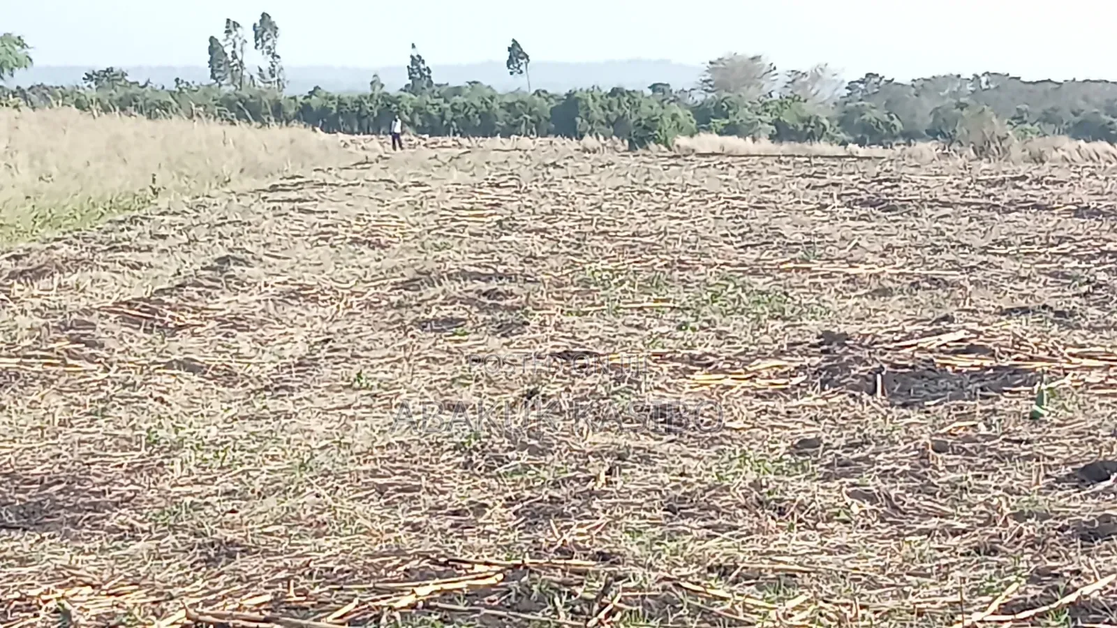 Prime Land at Nyagidha for Sale