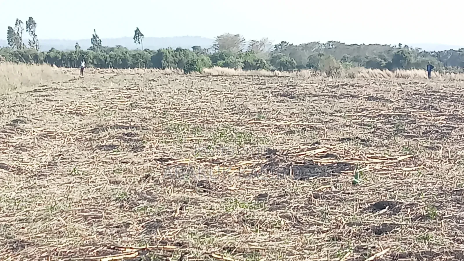 Prime Land at Nyagidha for Sale
