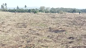Prime Land at Nyagidha for Sale