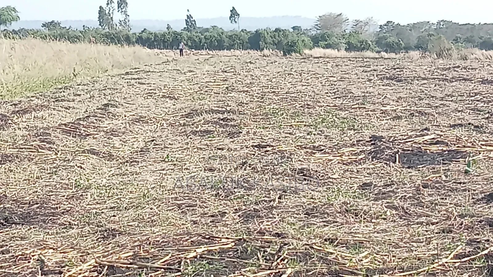 Prime Land at Nyagidha for Sale