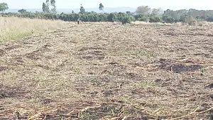 Prime Land at Nyagidha for Sale