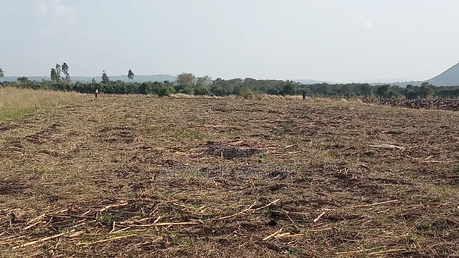 Prime Land at Nyagidha for Sale