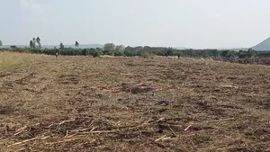 Prime Land at Nyagidha for Sale