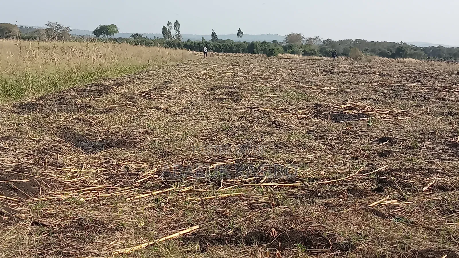 Prime Land at Nyagidha for Sale