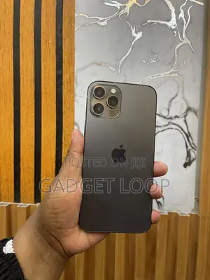 Apple iPhone 12 Pro Max 256 GB