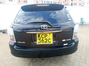 Toyota Corolla Fielder 2010 Black