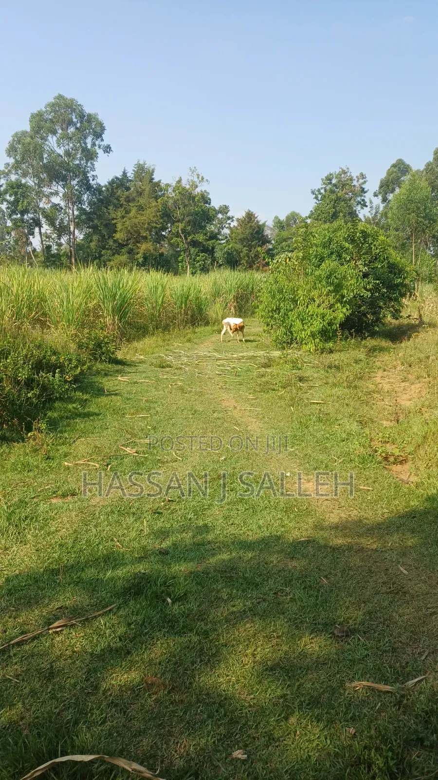 4.5acres Land on Sale.