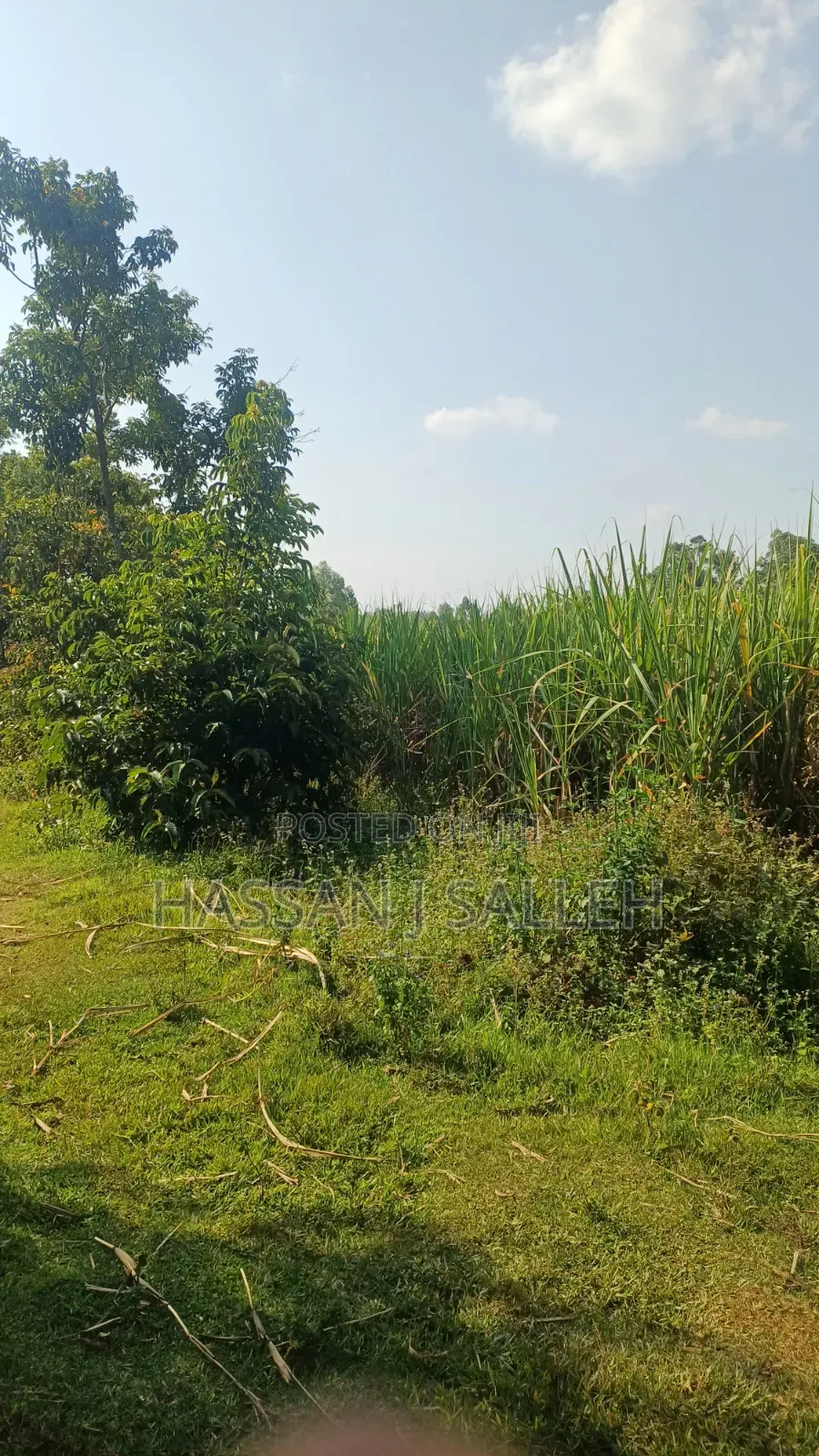4.5acres Land on Sale.