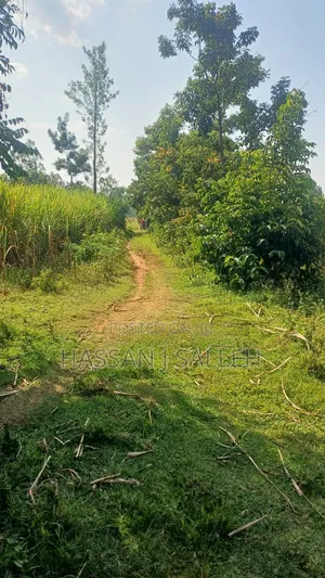 4.5acres Land on Sale.