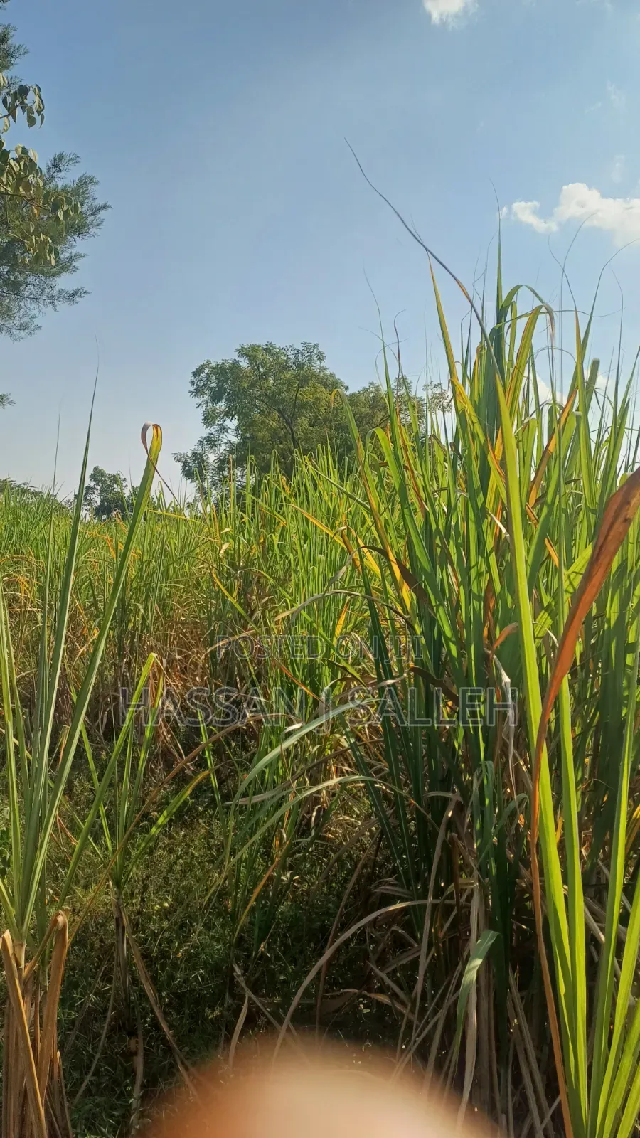 4.5acres Land on Sale.