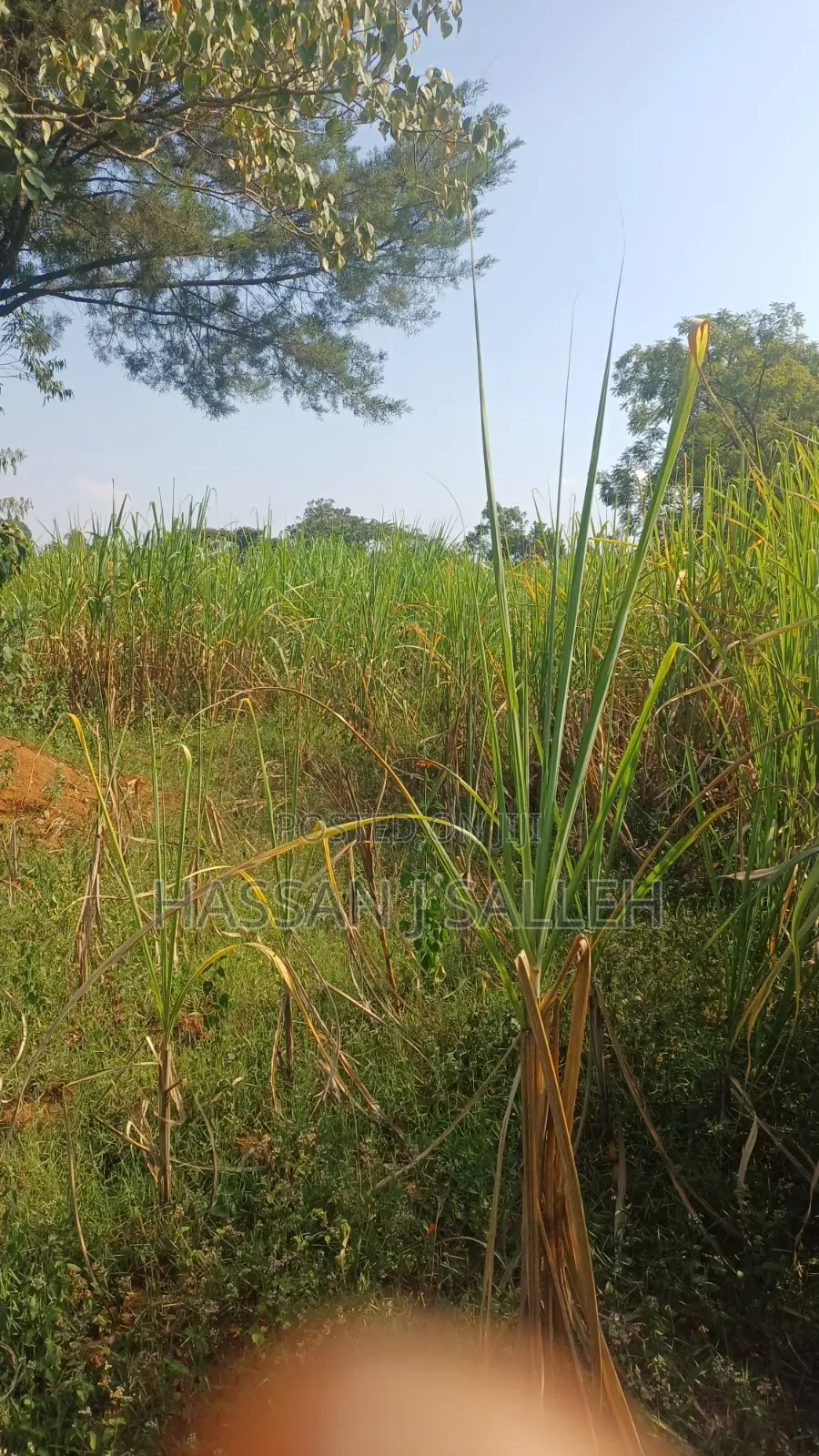 4.5acres Land on Sale.