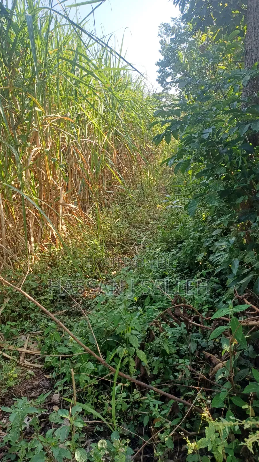 4.5acres Land on Sale.