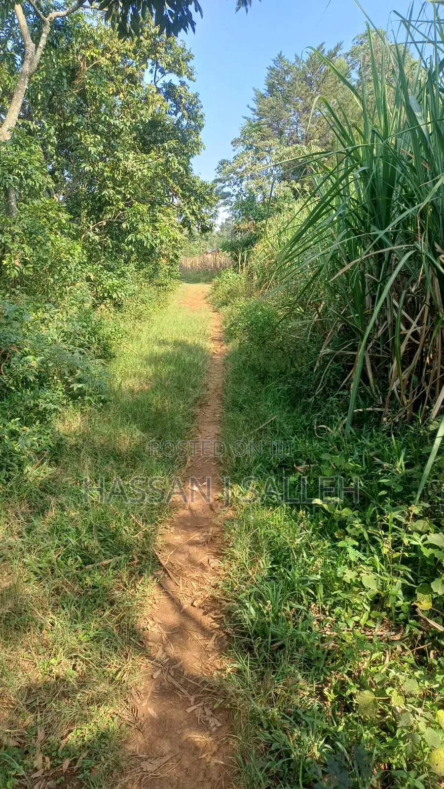 4.5acres Land on Sale.