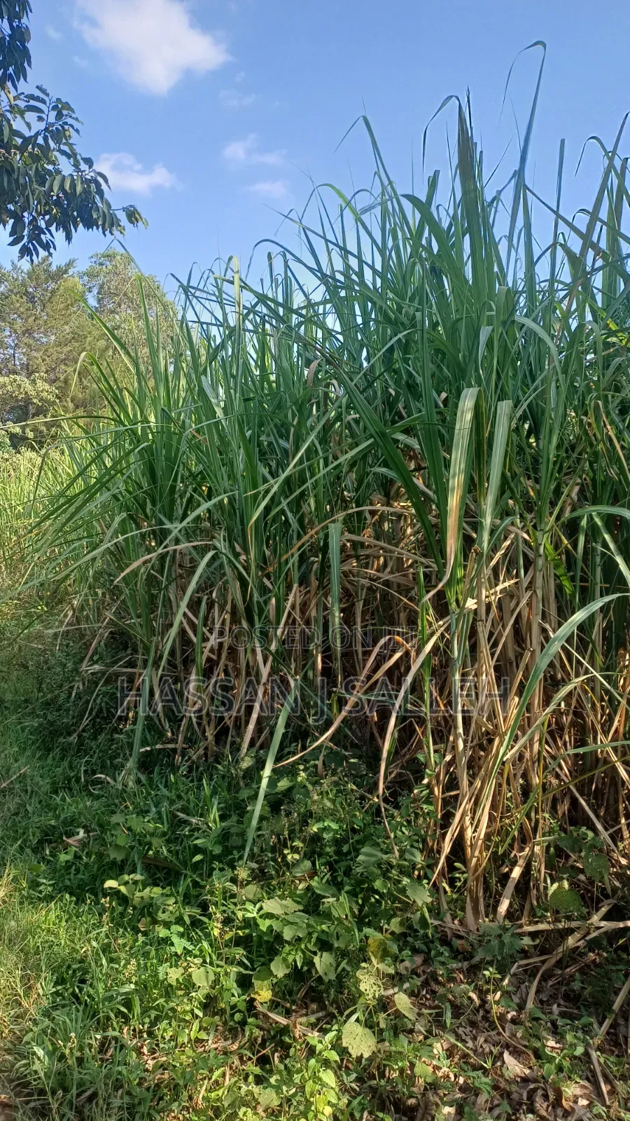 4.5acres Land on Sale.