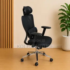 Office Chairs; Orthopedic S24 Ergonomic High-Back Office Chair