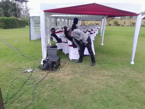Professional Dj Services and P.A
