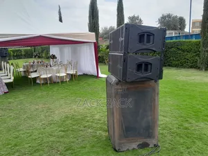 Professional Dj Services and P.A