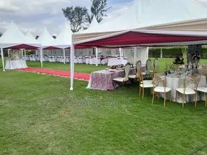 Professional Dj Services and P.A