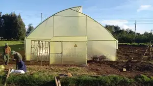 Galvanized Greenhouse 8m by 15m