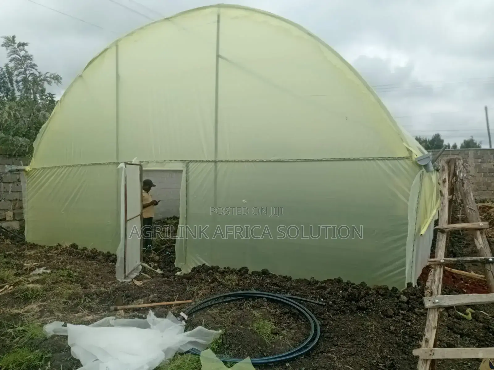 Galvanized Greenhouse 8m by 15m