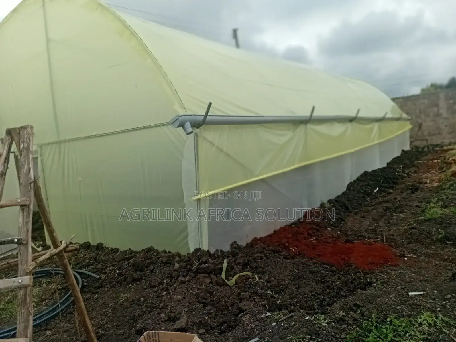 Galvanized Greenhouse 8m by 15m