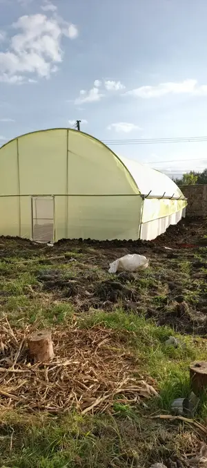 Galvanized Greenhouse 8m by 15m