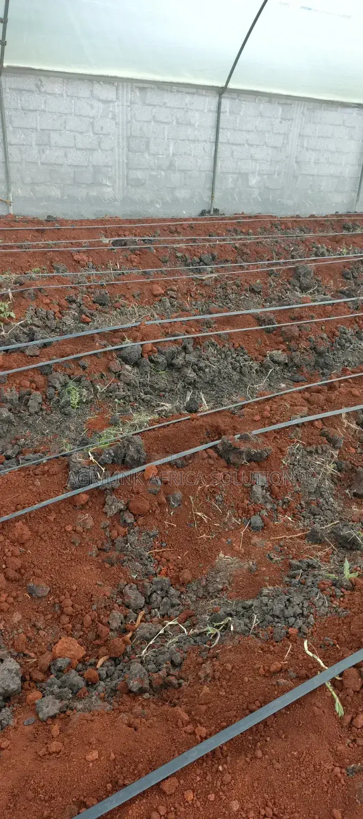 Galvanized Greenhouse 8m by 15m