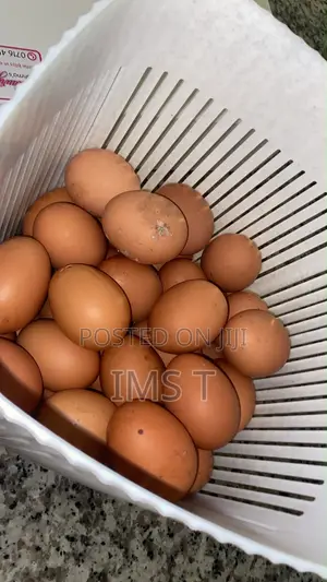 Egg’s Supplier Mombasa