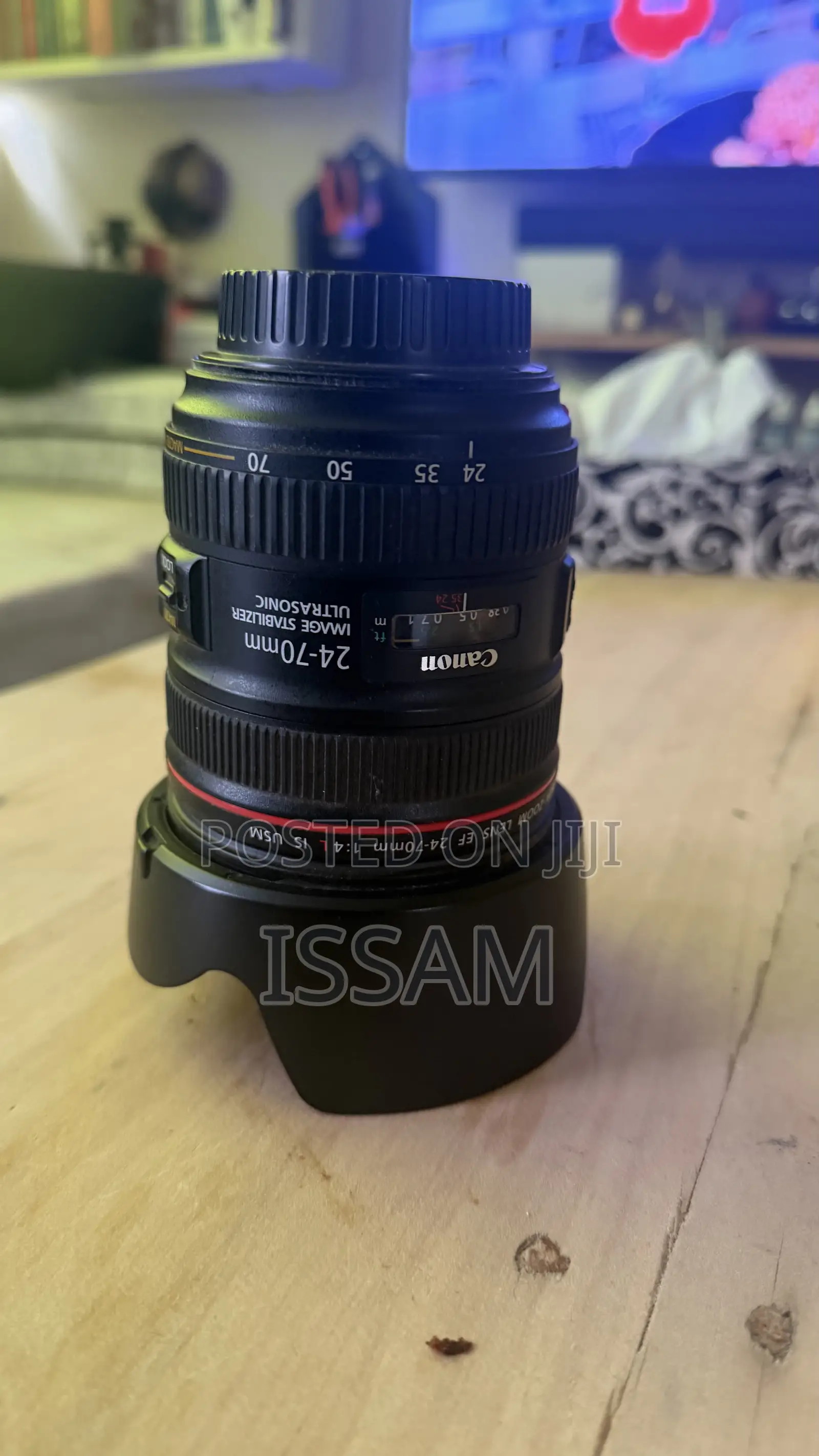 Canon Zoom Lens EF 24-70mm 1:4L USM