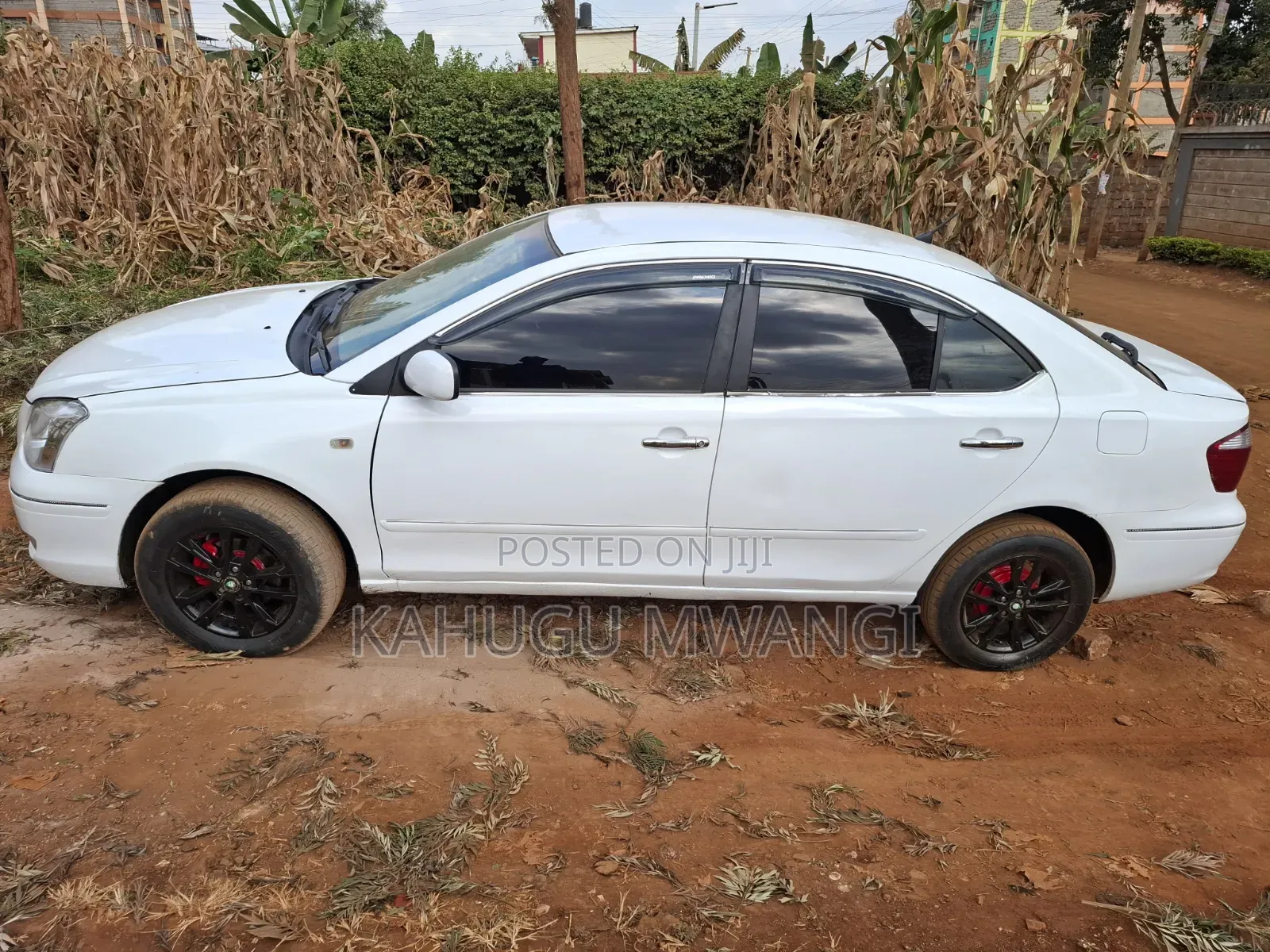 Toyota Premio 2005 White