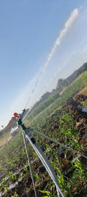 Py 30 Sprinkler