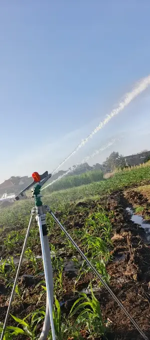 Py 30 Sprinkler