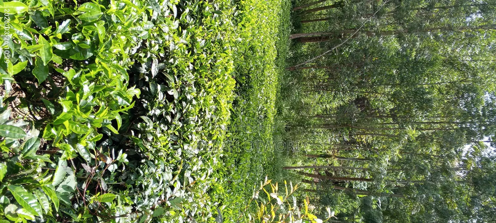Selling Land