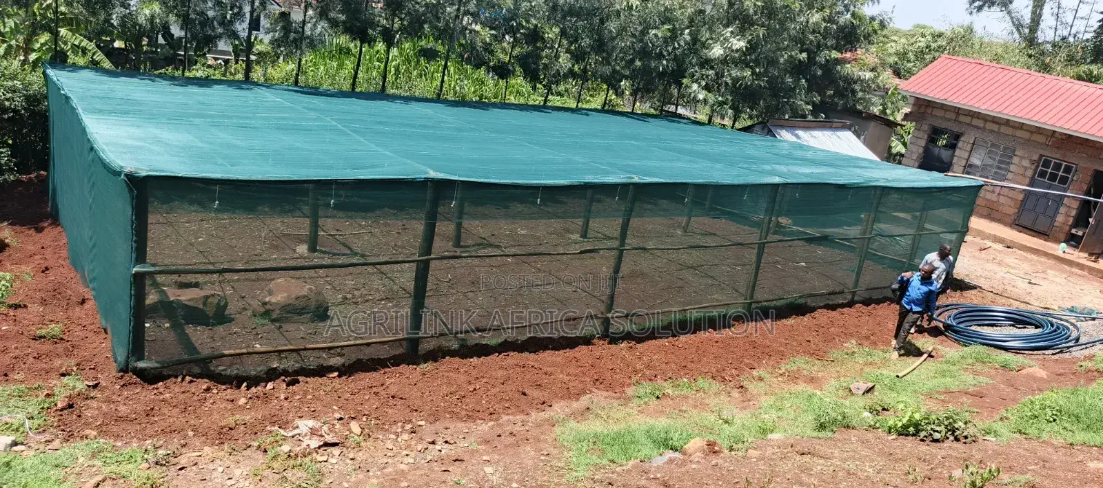 Shadenet Green 55% 4m by 50m