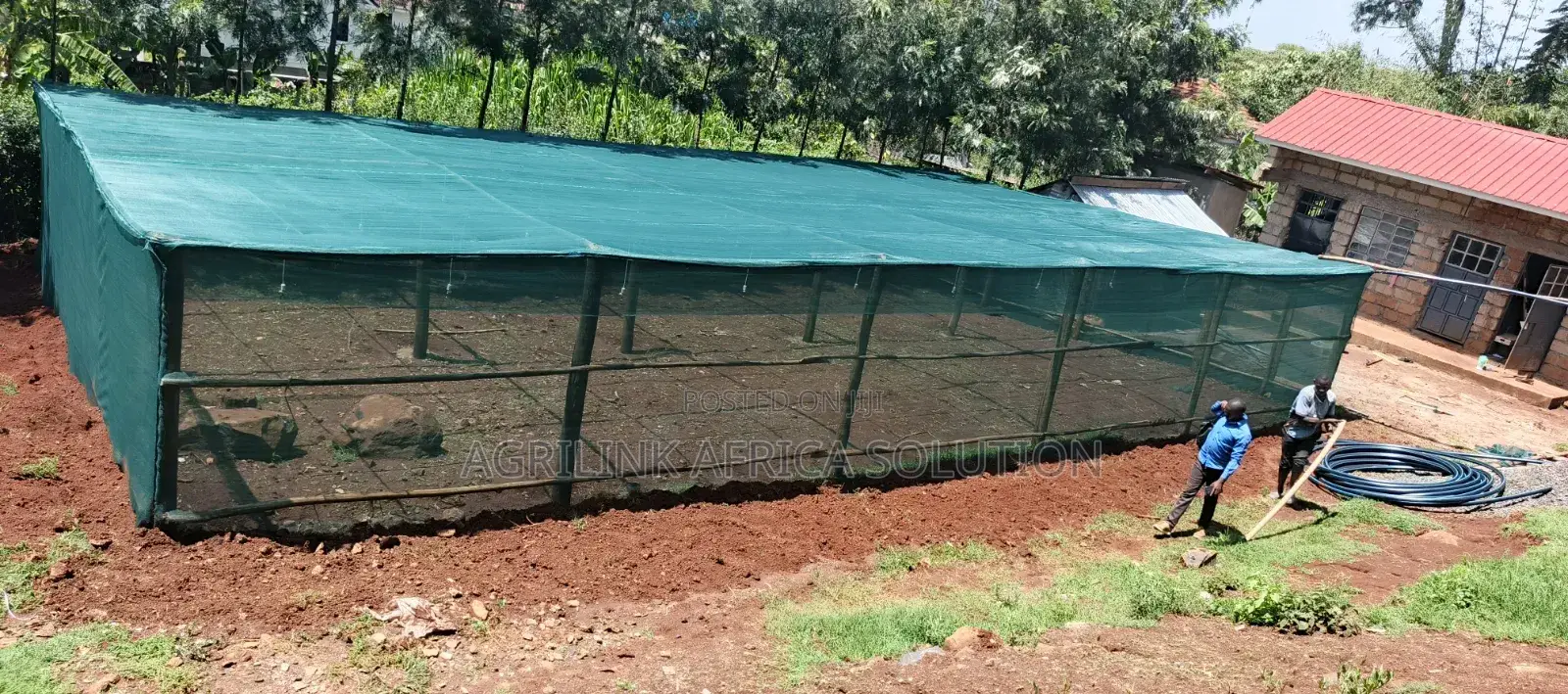 Shadenet Green 55% 4m by 50m