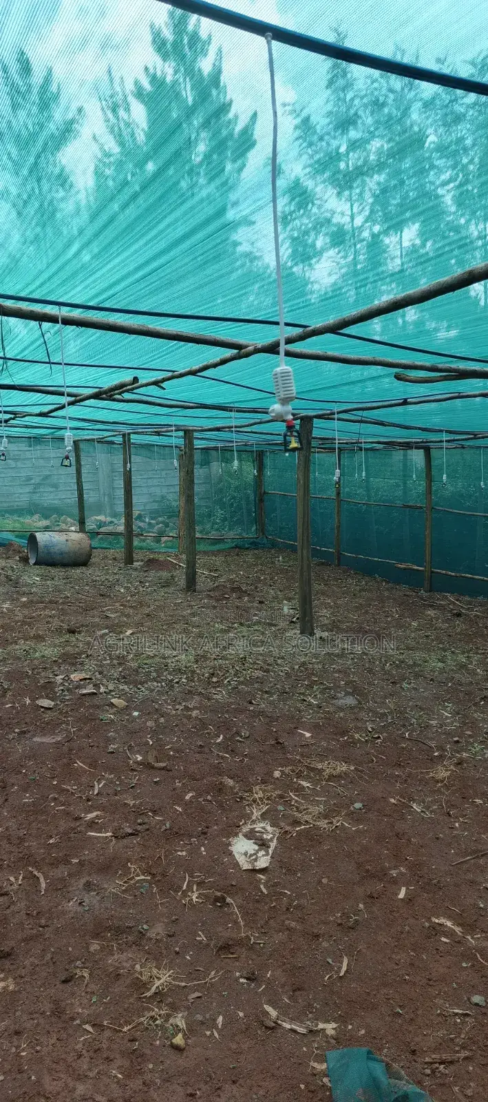 Shadenet Green 55% 4m by 50m