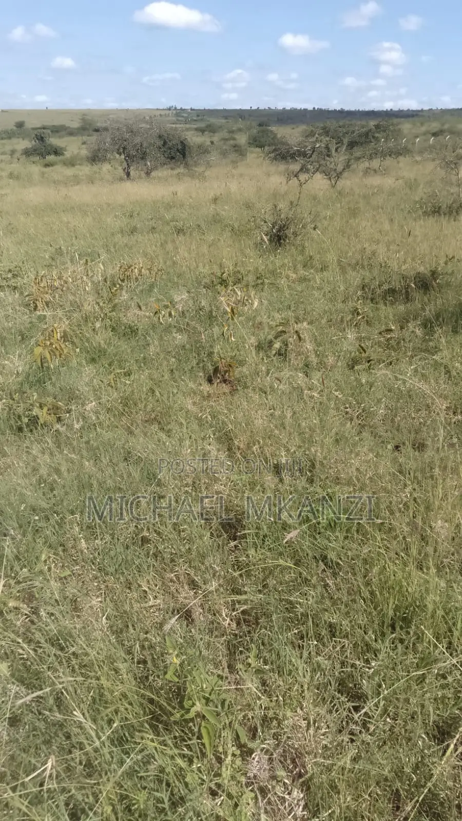 1/4 Acre Land for Sale in Lukenya, Athi River