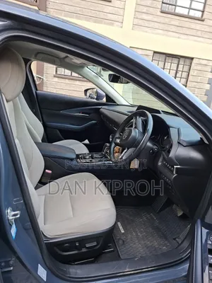Mazda CX-30 2019 Gray