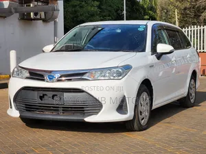 Toyota Corolla Fielder 2019 Pearl