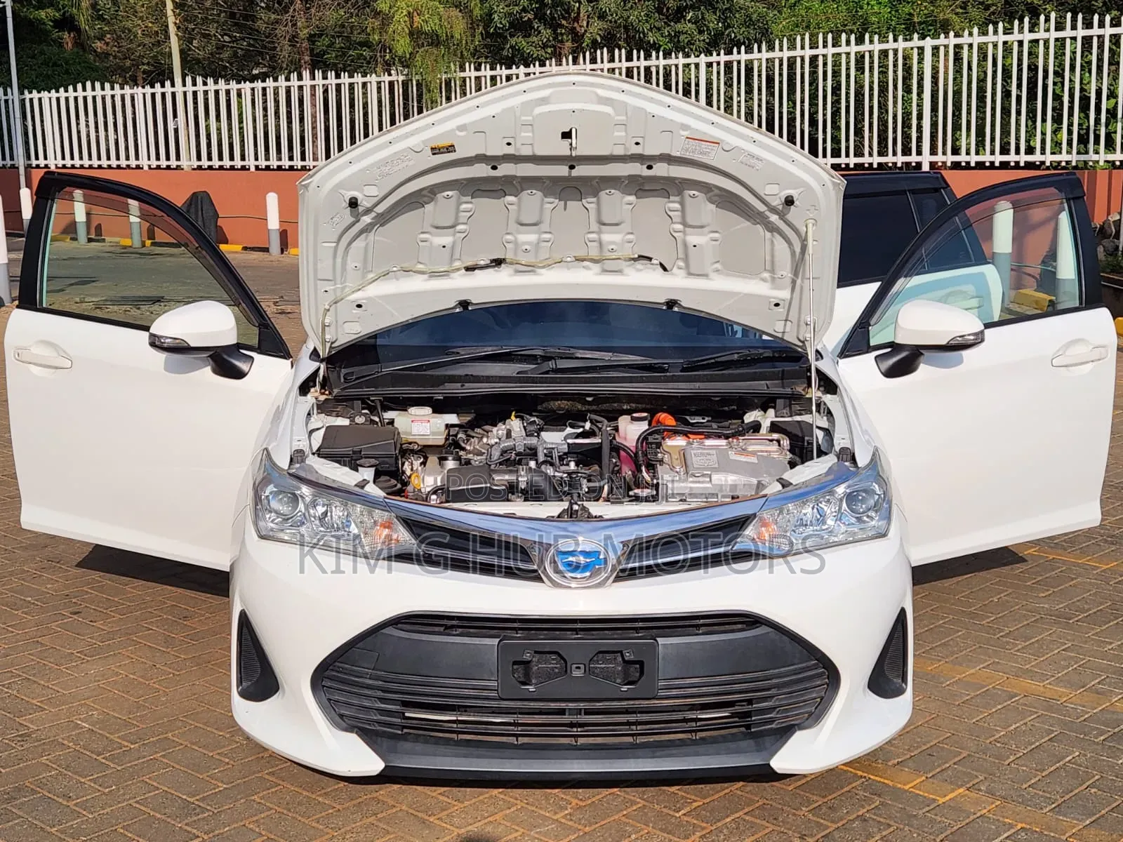 Toyota Corolla Fielder 2019 Pearl