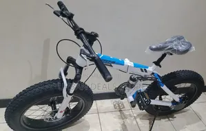 20" Fat Tyre Bike