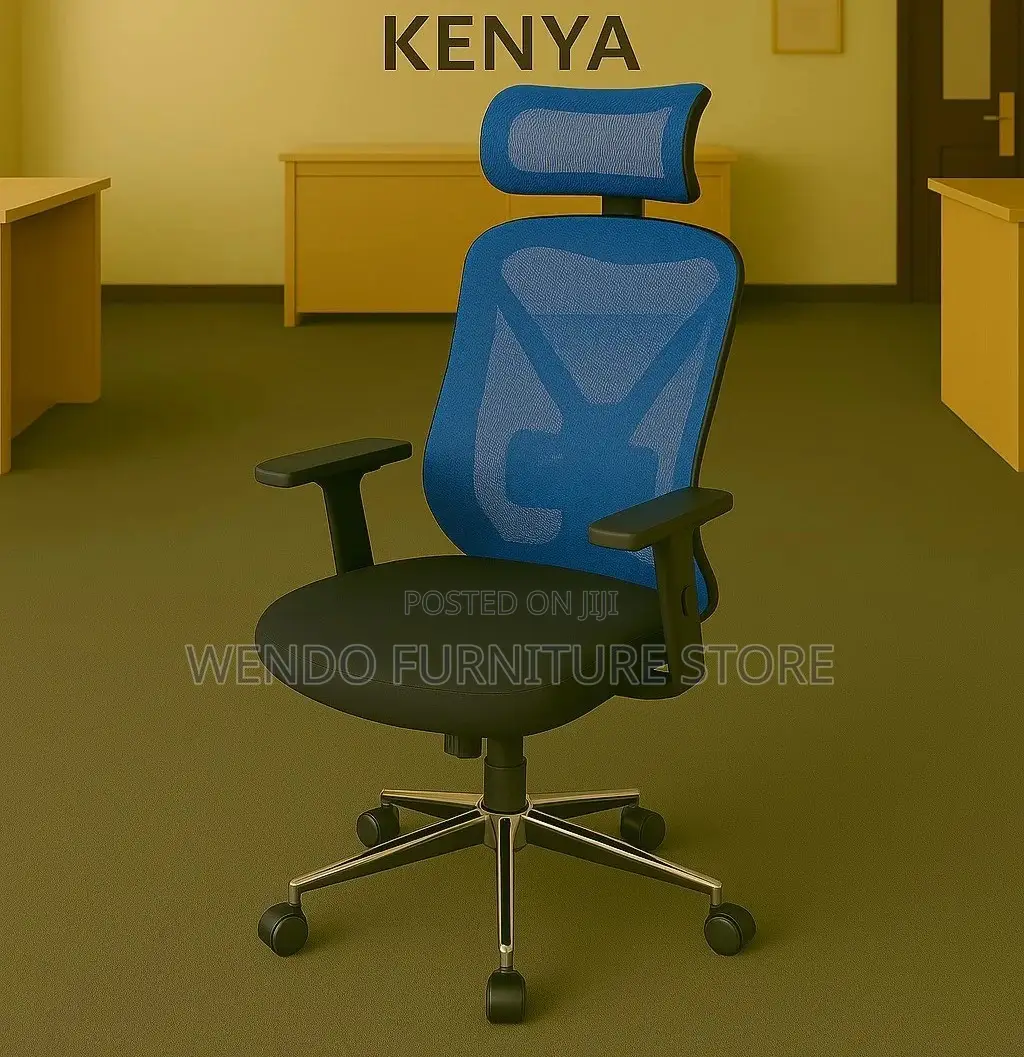 Office Chair : Modern Ergonomic High Back Office Chair