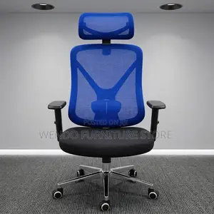 Office Chair : Modern Ergonomic High Back Office Chair