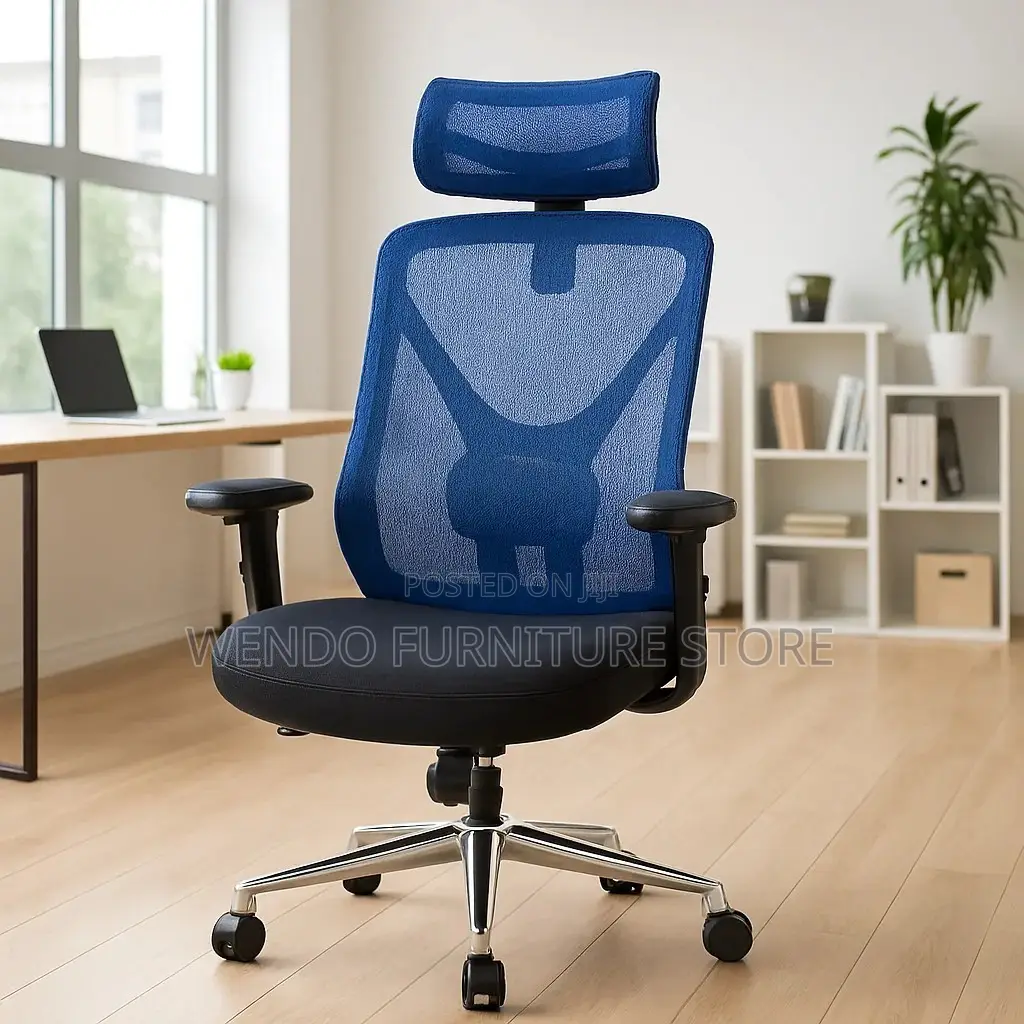 Office Chair : Modern Ergonomic High Back Office Chair