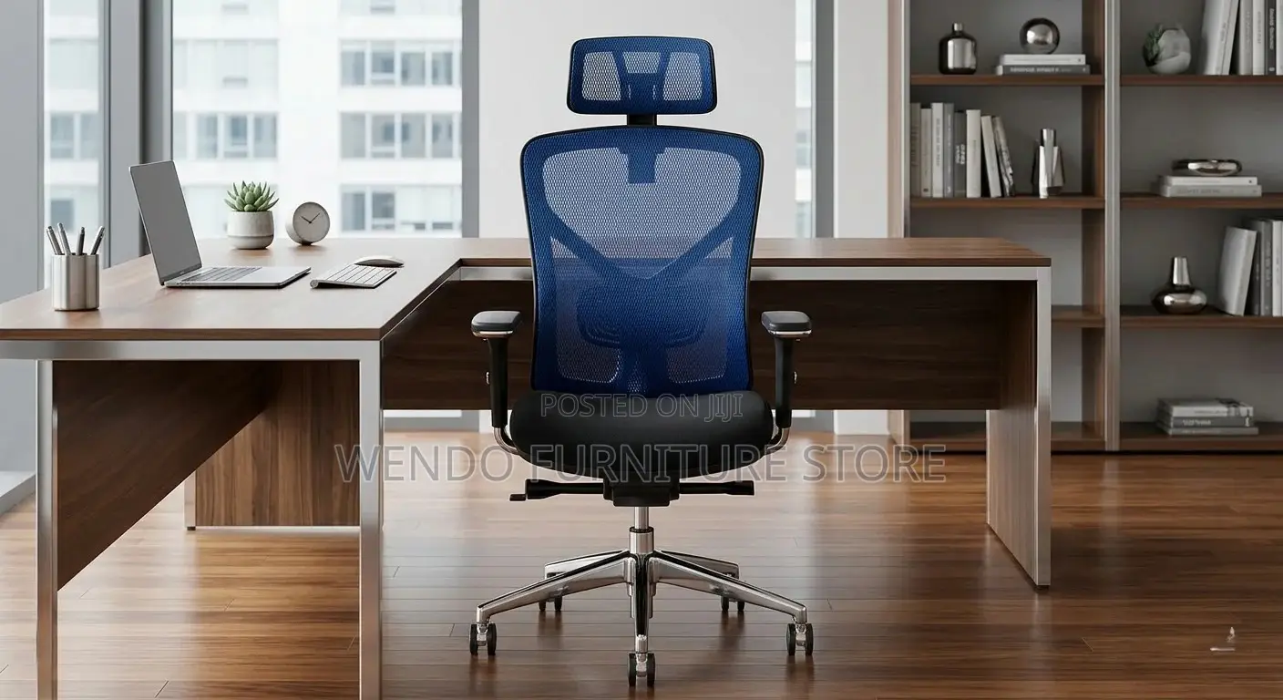 Office Chair : Modern Ergonomic High Back Office Chair
